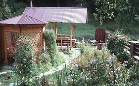 Sadyba Karpaty
